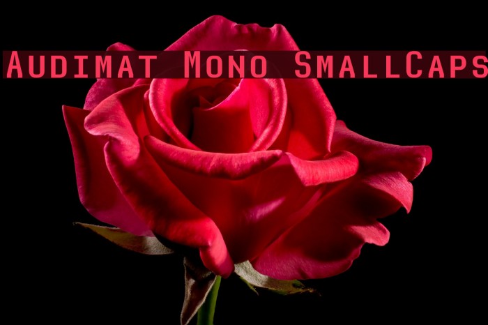Audimat Mono SmallCaps Font examples