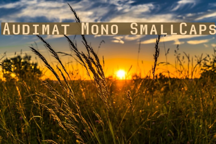 Audimat Mono SmallCaps Font examples