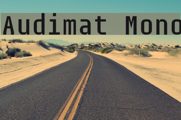 Audimat Mono Font examples