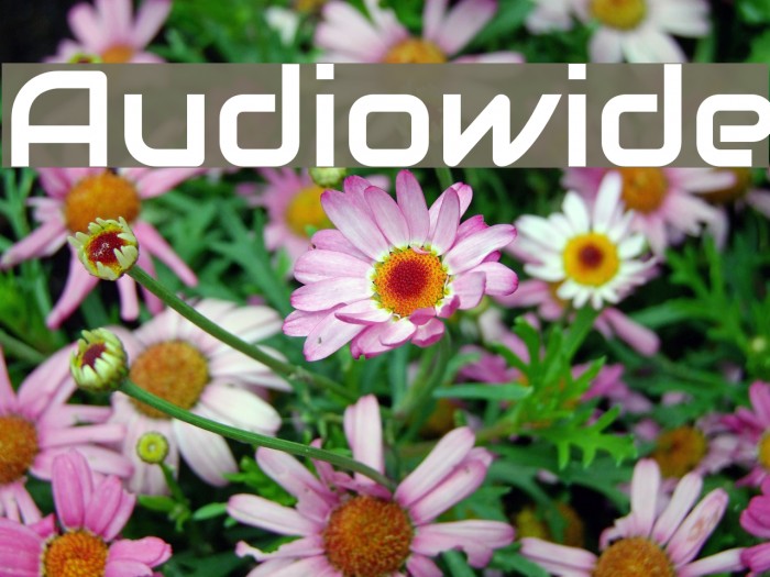 Audiowide Font examples