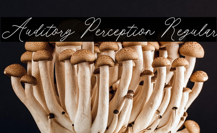 Auditory Perception Regular Example 3