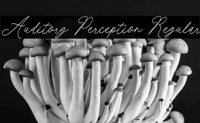 Auditory Perception Regular Шрифта examples
