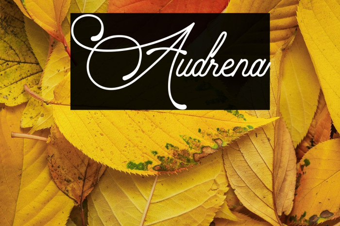 Audrena Example 1