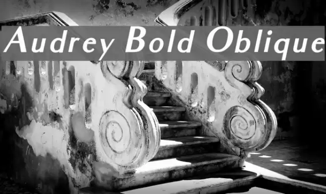Audrey Bold Oblique  examples