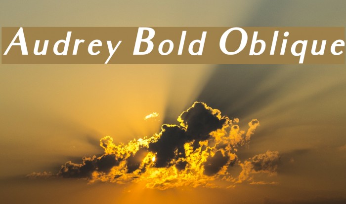 Audrey Bold Oblique Font examples