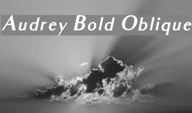 Audrey Bold Oblique  examples