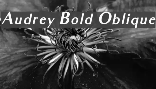Audrey Bold Oblique  examples