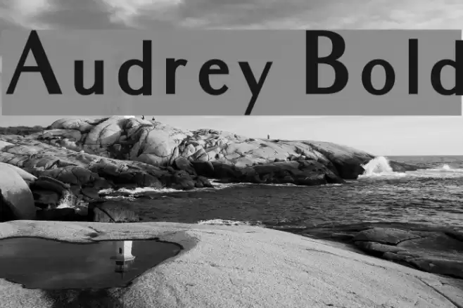 Audrey Bold Font examples