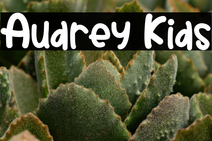 Audrey Kids Example 3