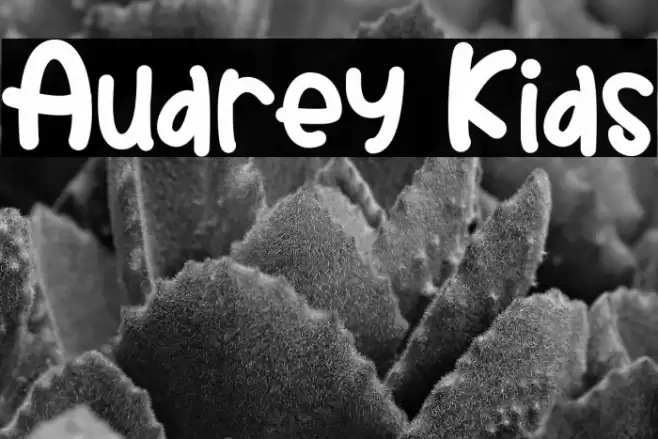 Audrey Kids Font examples