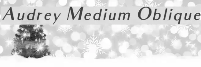 Audrey Medium Oblique examples