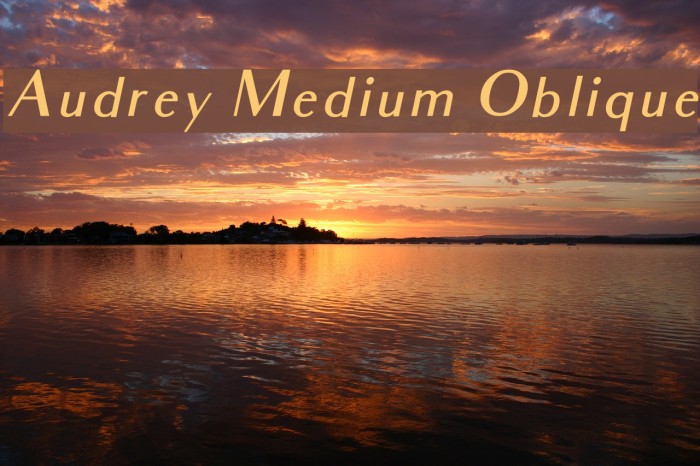Audrey Medium Oblique Font examples