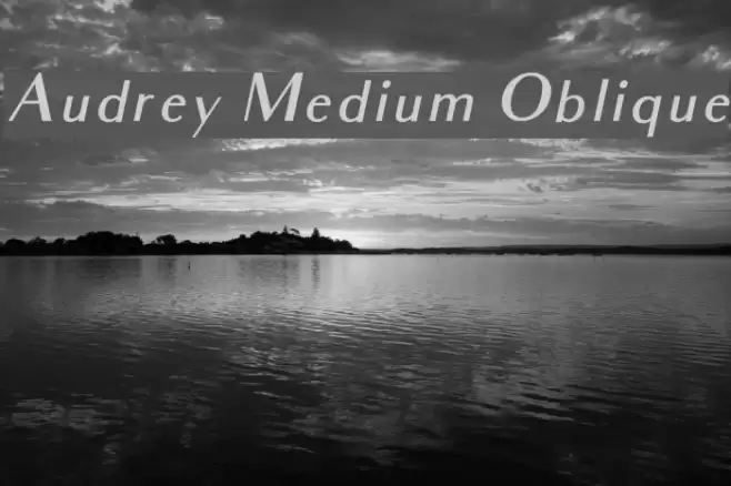 Audrey Medium Oblique examples