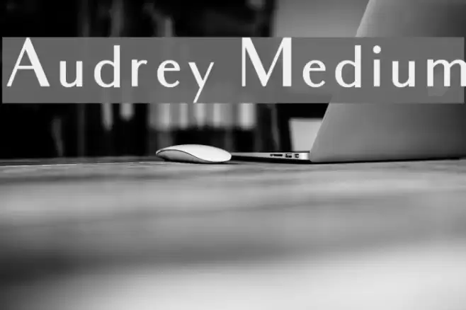 Audrey Medium Font examples