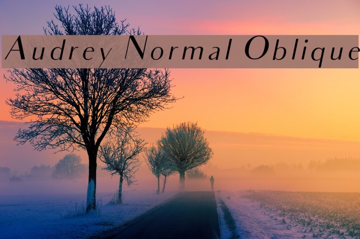 Audrey Normal Oblique Шрифта examples