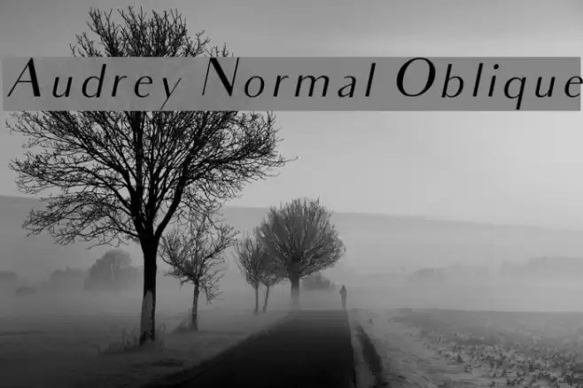 Audrey Normal Oblique Шрифта examples