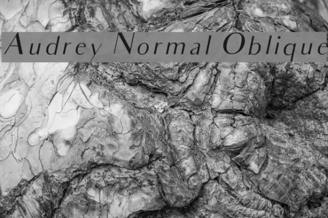 Audrey Normal Oblique Шрифта examples
