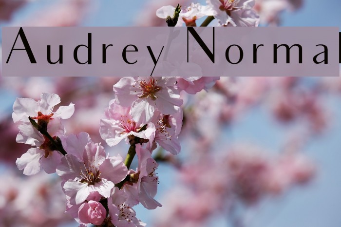 Audrey Normal Font examples