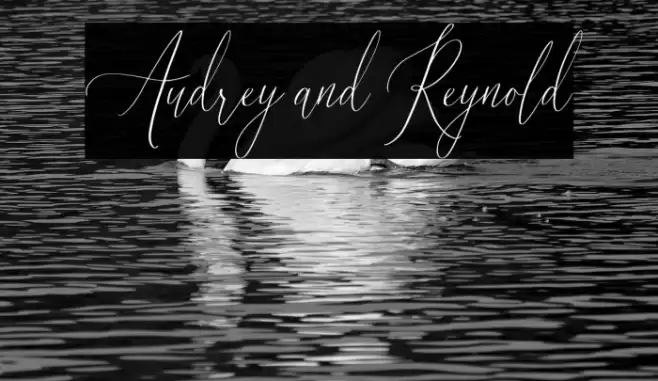 Audrey and Reynold Font examples