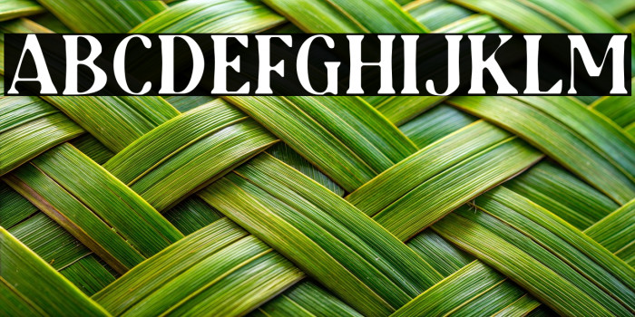 AudreyMiragesDEMO Example 3