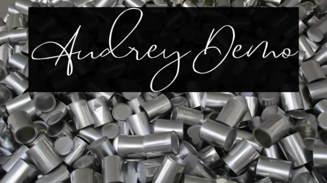 Audrey_Demo Example 2