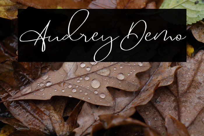 Audrey_Demo Example 3