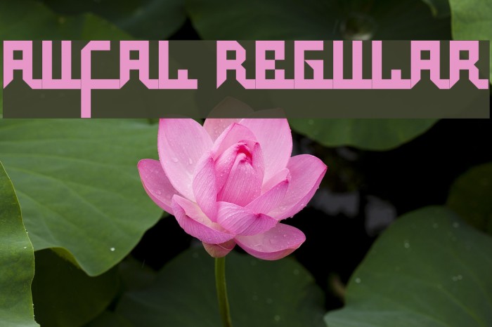 Aufal Regular Font examples