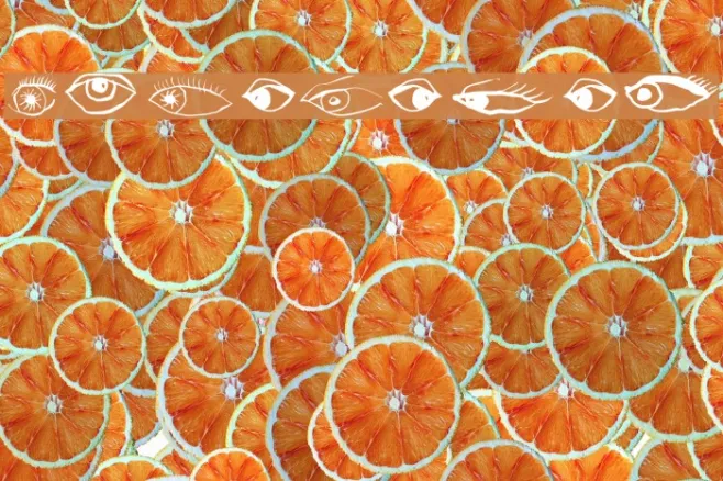 AugenEyes Example 2
