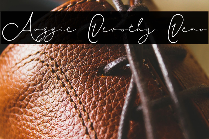 Auggie Devothy Demo Example 2