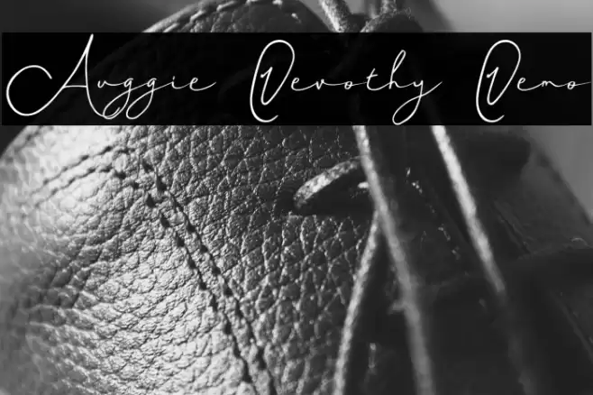 Auggie Devothy Demo خط examples