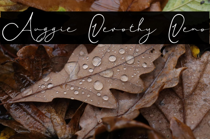 Auggie Devothy Demo Example 3