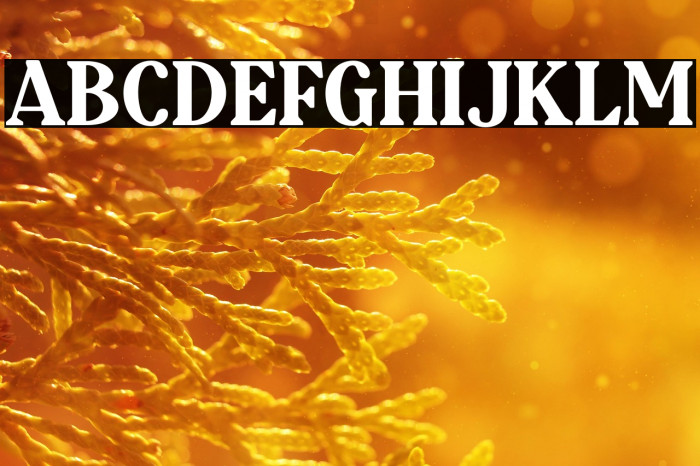 AugillionDEMO Example 1