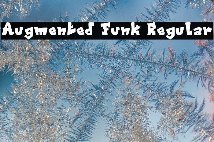 Augmented Funk Regular Example 2