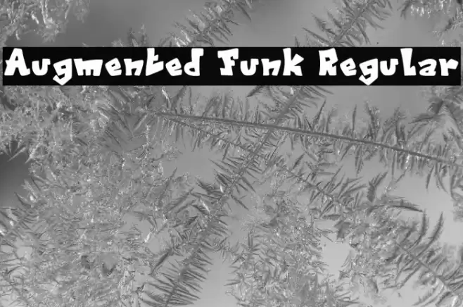 Augmented Funk Regular Font examples