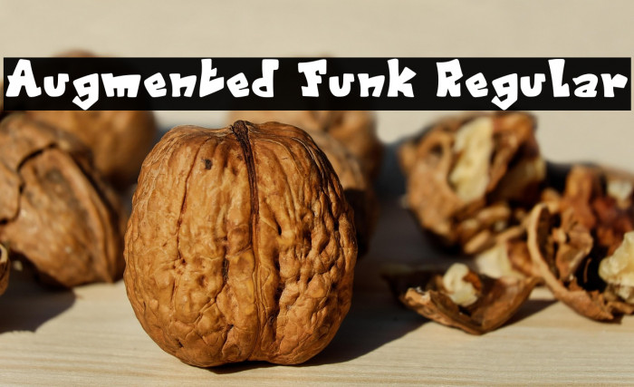 Augmented Funk Regular Example 3