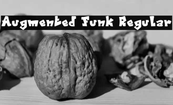 Augmented Funk Regular Font examples