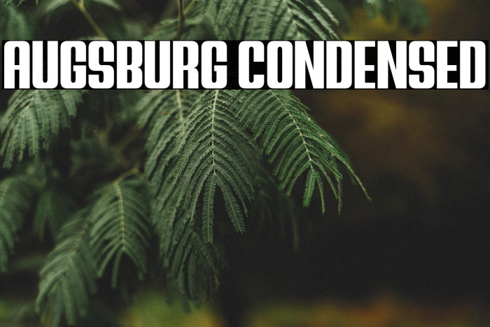 Augsburg Condensed Example 1