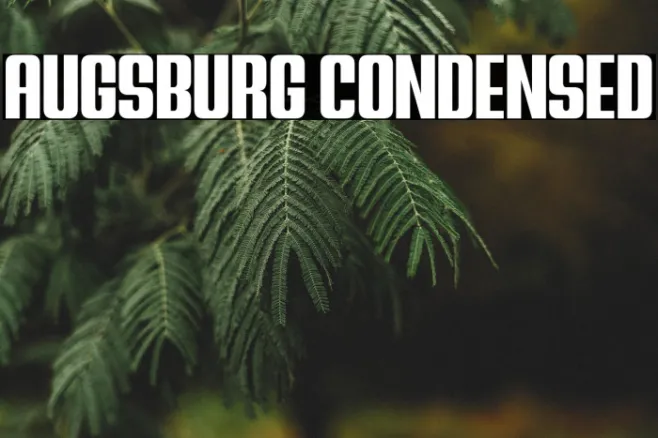 Augsburg Condensed Example 1