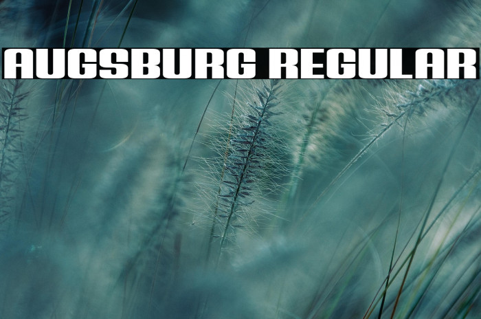 Augsburg Regular Example 3