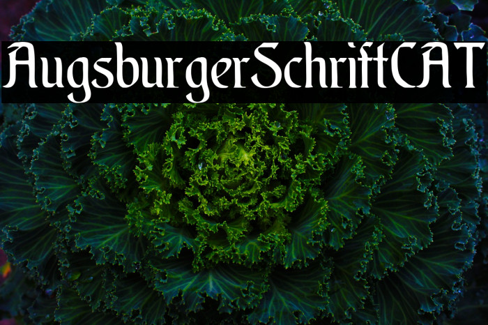 AugsburgerSchriftCAT Font examples