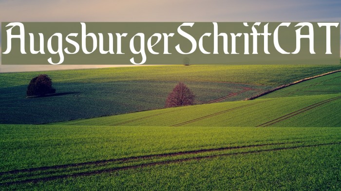 AugsburgerSchriftCAT Font examples