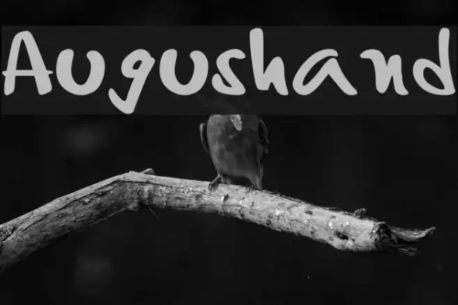 Augushand Font examples