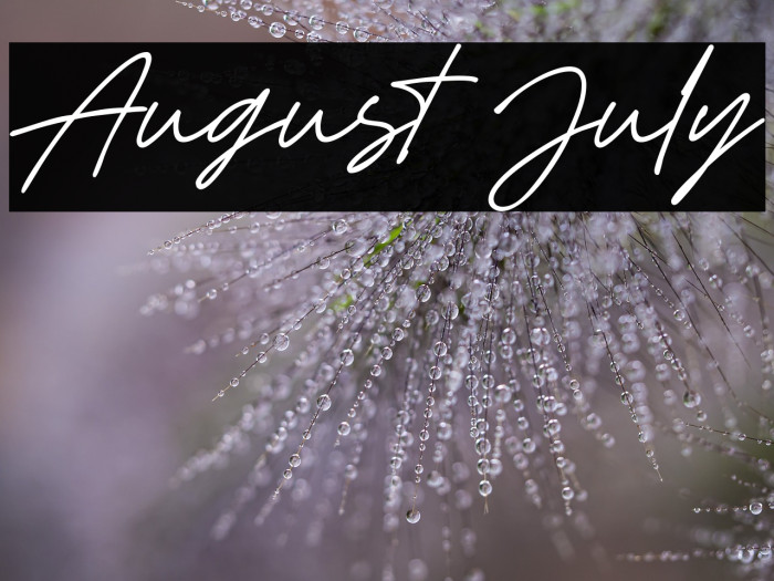 August July Example 2