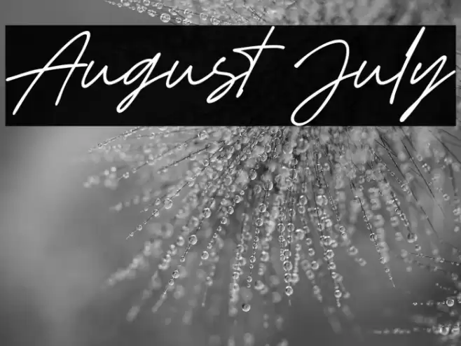 August July Caratteri examples