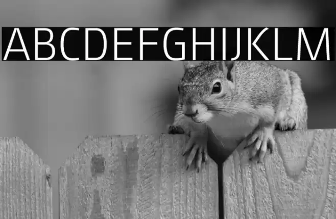 August Sans Reduced 45 Light Font examples