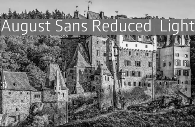 August Sans Reduced 45 Light Font examples