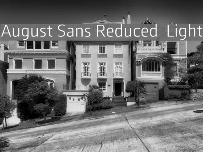 August Sans Reduced 45 Light Font examples