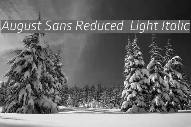 August Sans Reduced 46 Light Italic Font examples