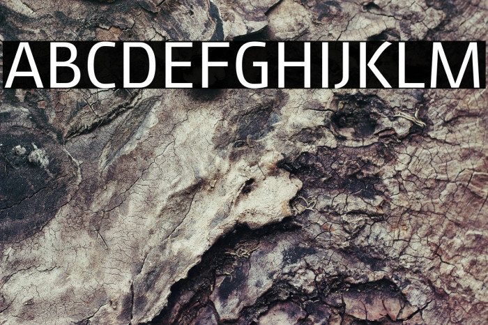 August Sans Reduced 55 Regular Example 2