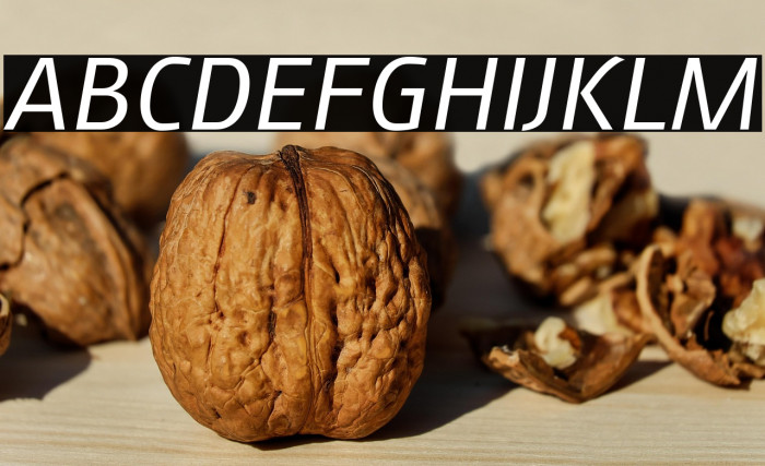 August Sans Reduced 56 Italic Example 1